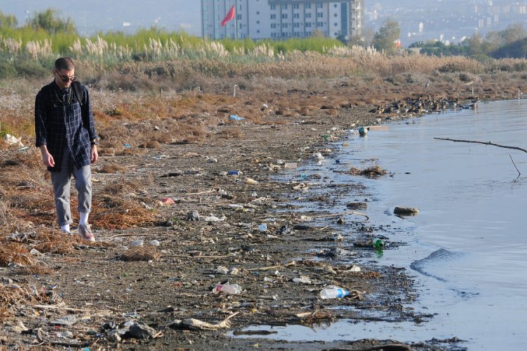 İzmit'te su kuşlarının g&ouml;&ccedil; yolu kirlendi