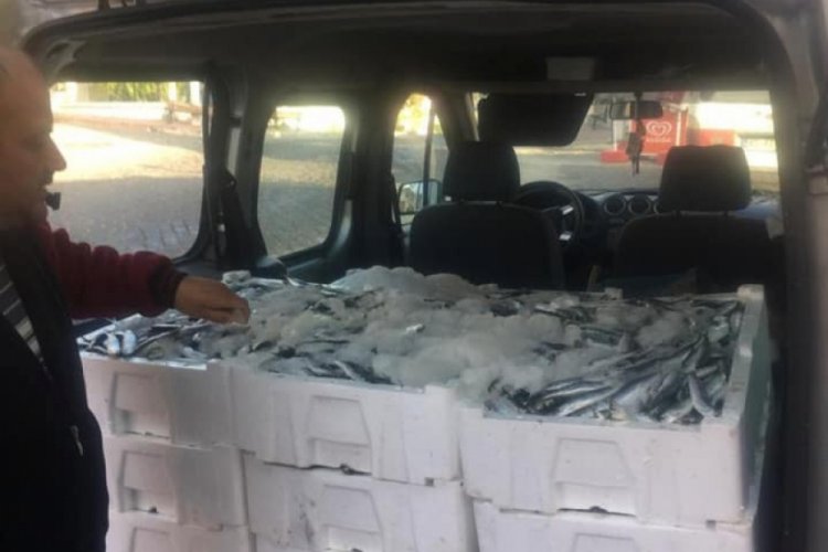 Didim'de ka&ccedil;ak avcılığa ge&ccedil;it verilmiyor
