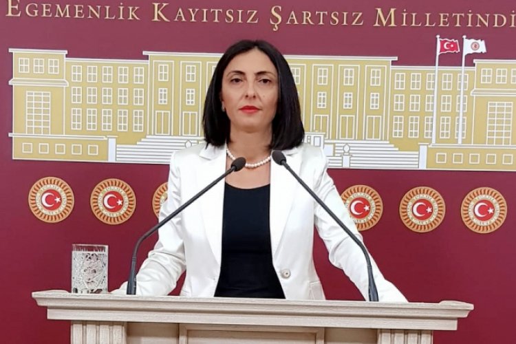 Bursa Milletvekili Kayışoğlu: "Atat&uuml;rk'ten rahatsızlığınızın sebebi ne"