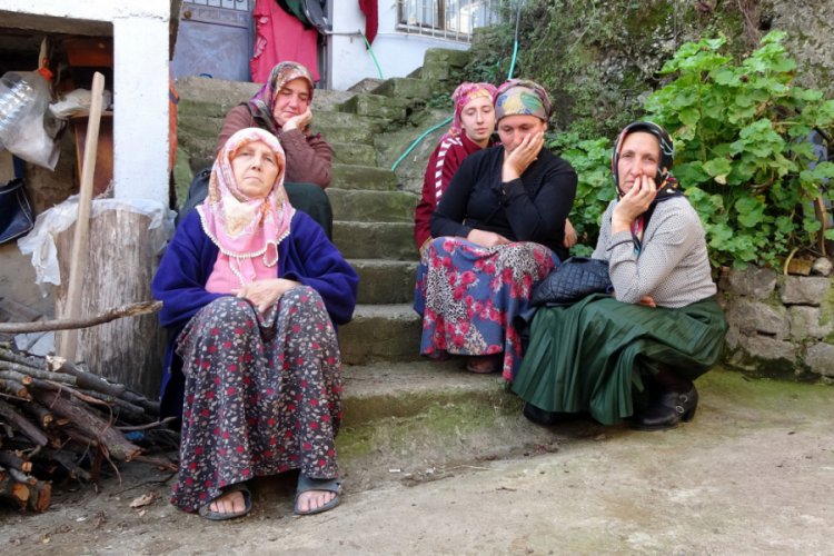 Trabzon'da 30 b&uuml;y&uuml;kbaş &ccedil;i&ccedil;ek hastalığından &ouml;ld&uuml;
