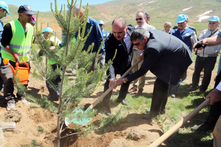 Vali G&uuml;naydın'dan Fidan Dikimine Davet