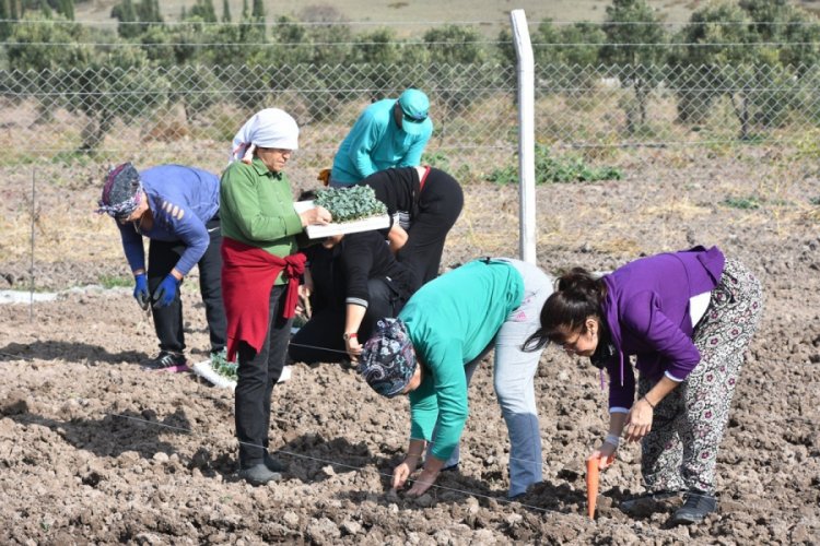 Aliağalı &uuml;retici kadın &ccedil;ift&ccedil;iler tarlaya indi