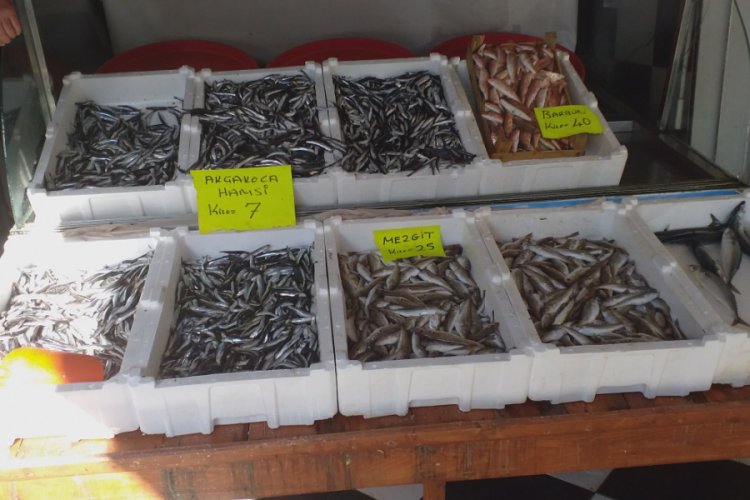 Hamsi fiyatı Karadeniz'de 7 TL'ye d&uuml;şt&uuml;