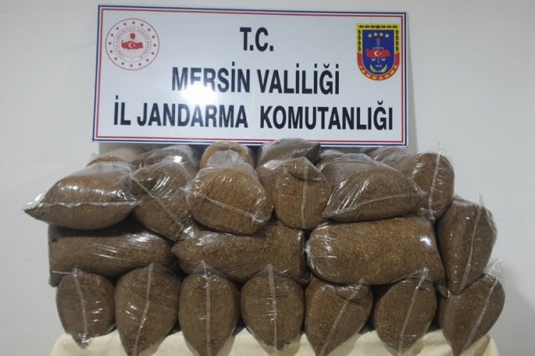 Ka&ccedil;ak kıyılmış 225 kilo t&uuml;t&uuml;n ele ge&ccedil;irildi