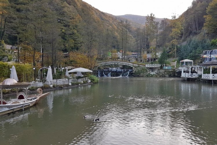 Sapanca'da hayvanların kafeste tutulduğu iddiası Güncel