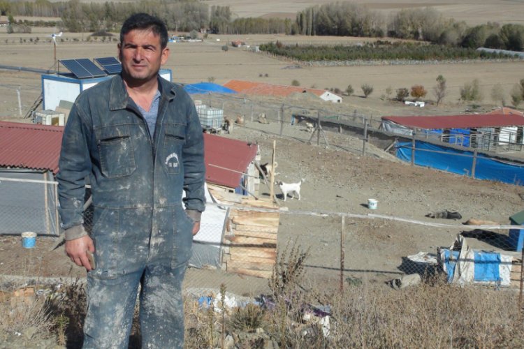 Her g&uuml;n 250 k&ouml;peğin bakımını &uuml;stleniyor