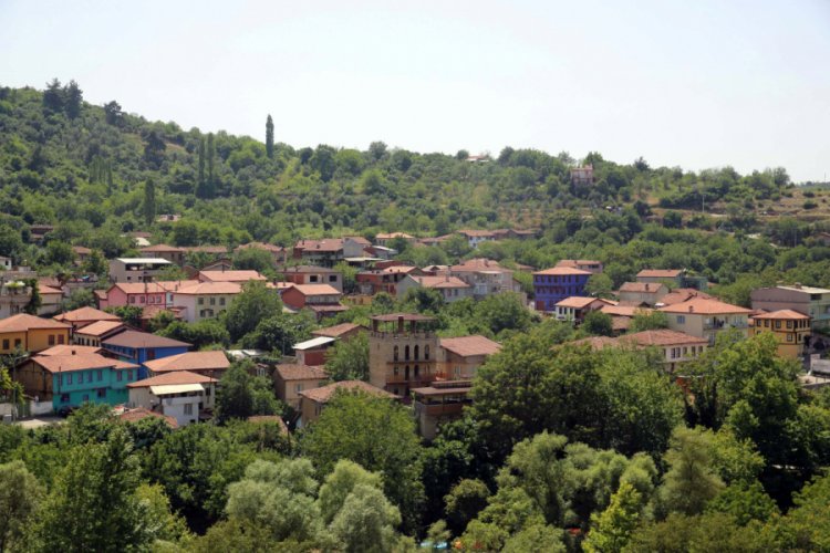 Bursa'da "Misi'nin Florası"nı sanata yansıtacaklar