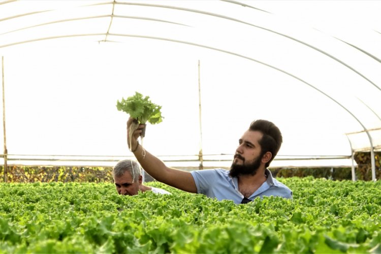 Bursa Da Suyun Icinde Uretti 12 Ay Satiyor Bursada Bugun Bursa Bursa Haber Bursa Haberi Bursa Haberleri Bursa