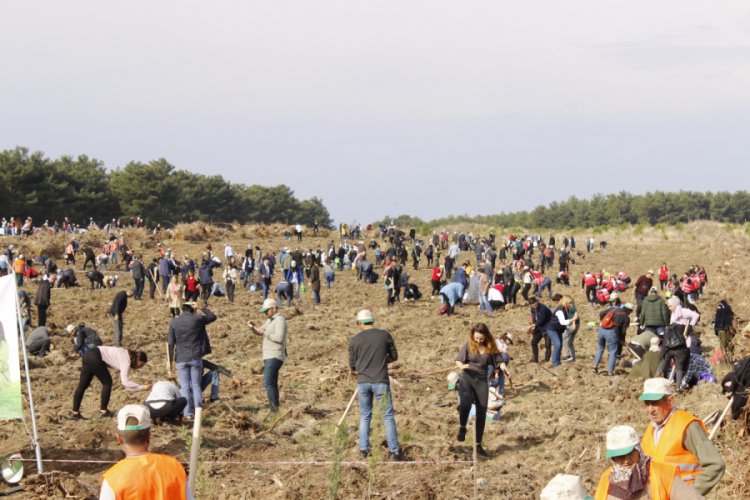 &Ccedil;anakkale'de 205 bin fidan toprakla buluşturuldu