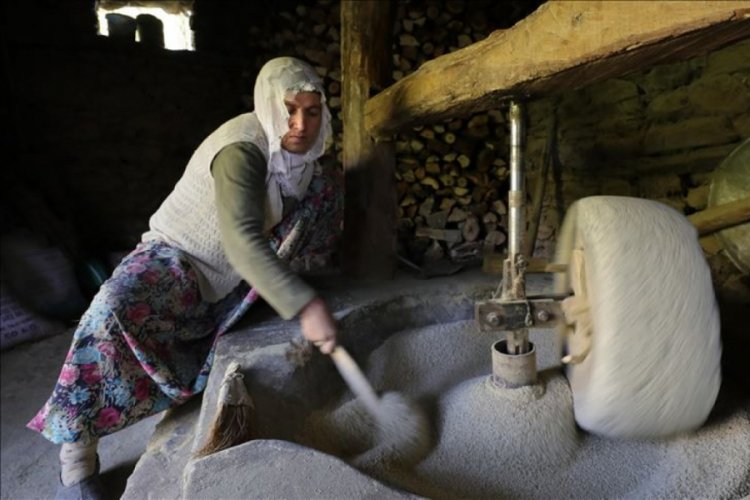 Kursun&ccedil; pirinci 150 yıllık değirmende &ouml;ğ&uuml;t&uuml;l&uuml;yor