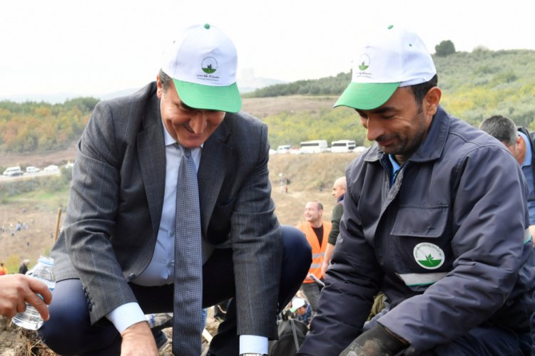 Bursa Osmangazi'de 13 noktada 54 bin 300 ağa&ccedil; dikildi