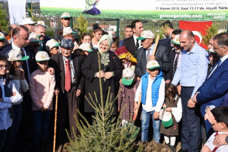 Bakan Sel&ccedil;uk, fidan dikti