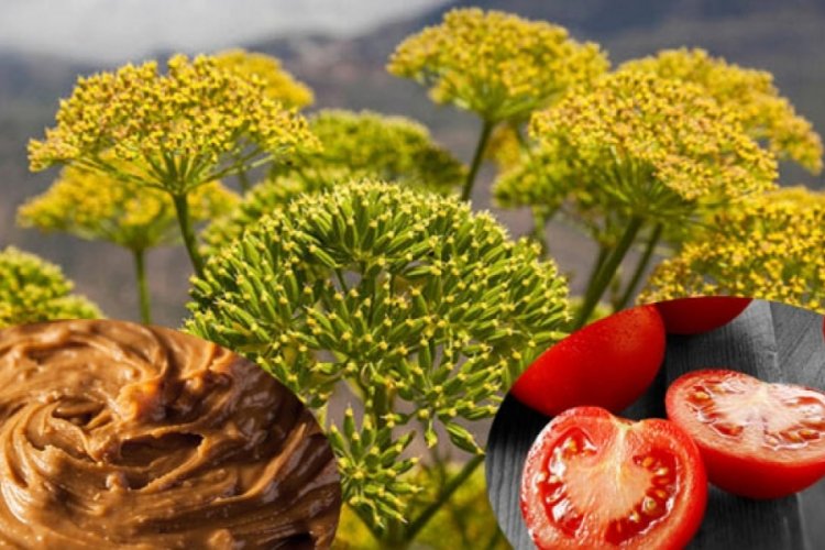 Sperm kalitesini artıran besinler ve bitkiler