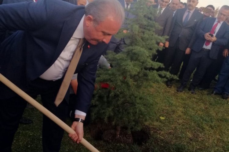 TBMM Başkanı Şentop, fidan dikti