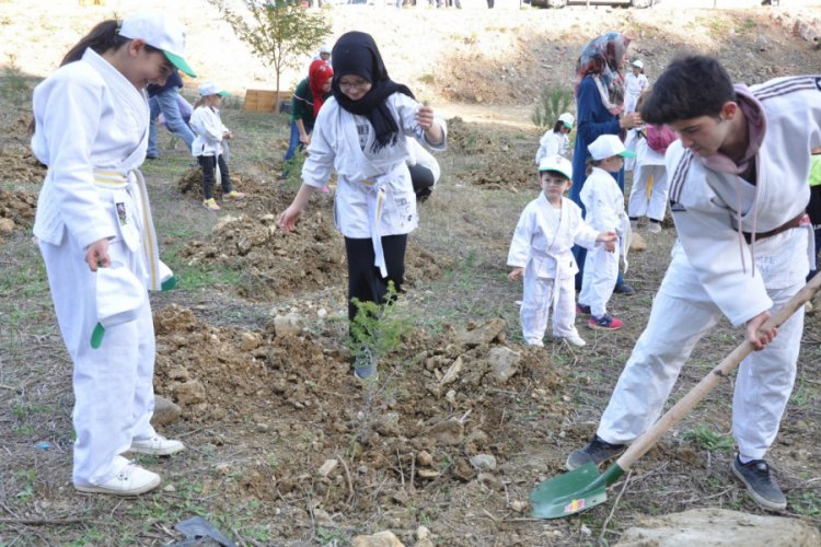 Gerze'de 20 bin fidan toprakla buluştu