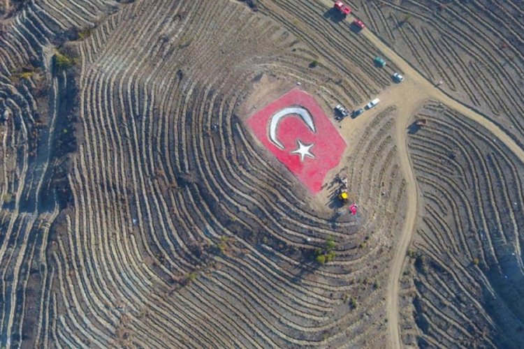 Yanan ormanlık alana 'ay yıldızlı' projeyle 35 bin fidan dikildi