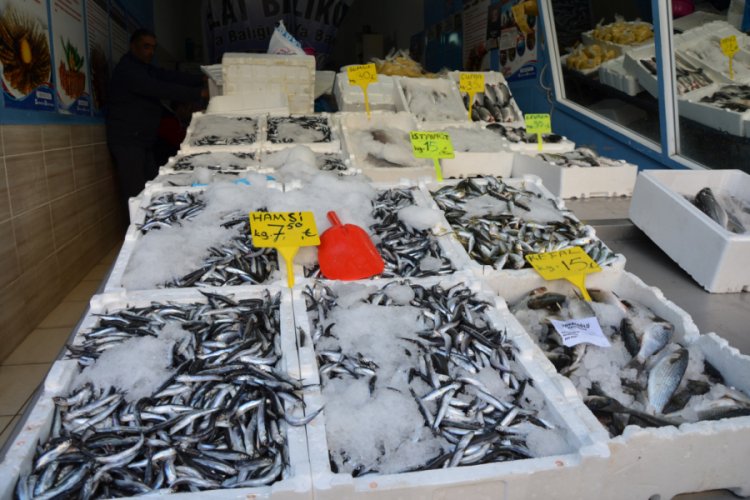 Yerli hamsi tezg&acirc;hlarda 7,5 TL
