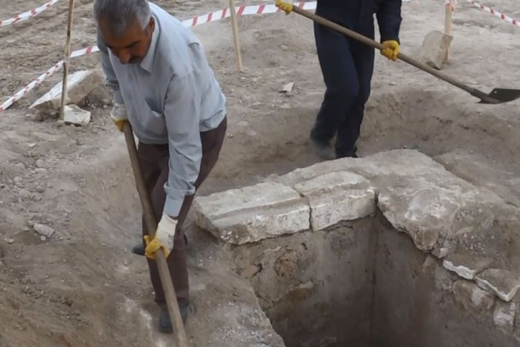 Ağa&ccedil; dikme kampanyası sırasında mezar bulundu