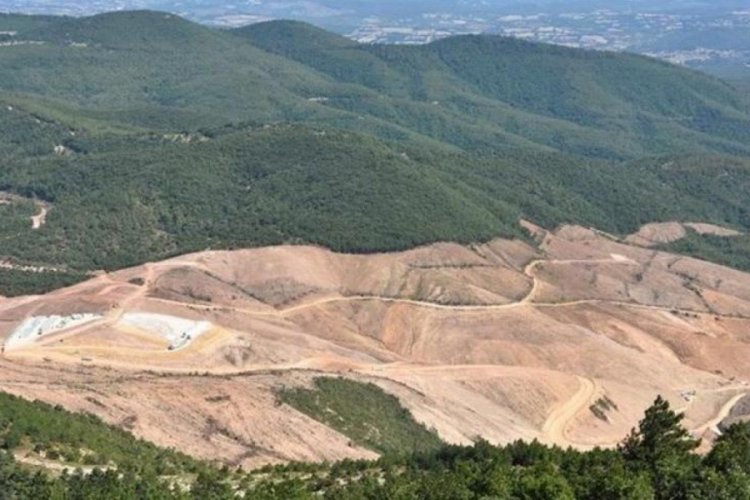 Kaz Dağları'nda katliam yapan şirketin faaliyeti durduruldu