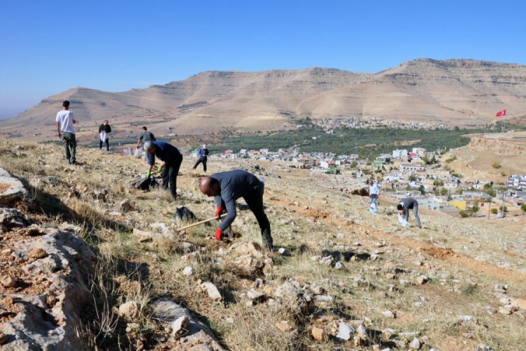 Sosyal medyada &ouml;rg&uuml;tlenip, tepelere palamut ektiler