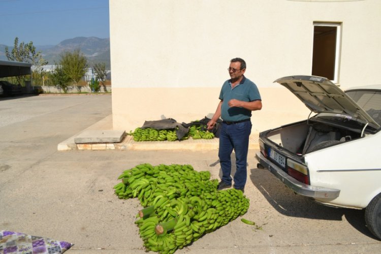 Cezaevinden &ccedil;ıktı muz hırsızlığından tekrar tutuklandı