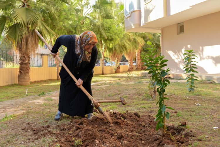 Kızı anısına fidan dikiyor