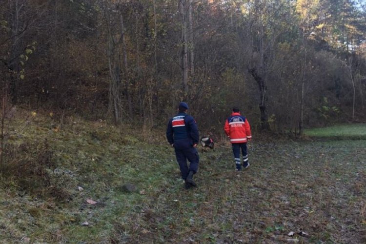 2 ay &ouml;nce kaybolan kadını arama &ccedil;alışmaları yeniden başlatıldı