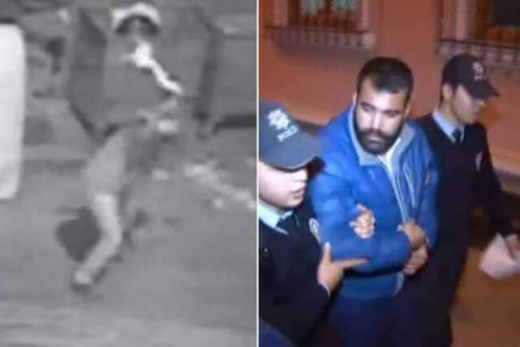 Kediyi yere vura vura &ouml;ld&uuml;ren caninin cezası kesinleşti