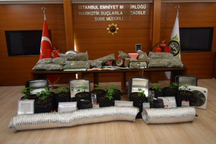 Uyuşturucu tarlasına &ccedil;evrilen depoya baskın