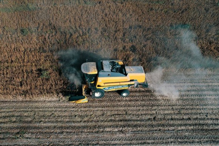 Tarım &uuml;r&uuml;nleri &uuml;retici fiyatları y&uuml;zde 1.7 arttı