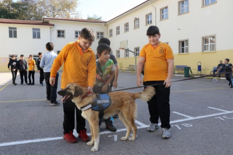 Okullara sahiplendirilen sokak hayvanları &ouml;ğrencilerin ilgi odağı oldu