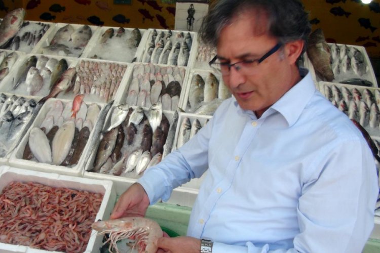 İskenderun K&ouml;rfezi'ndeki canlıların yarısı egzotik t&uuml;r