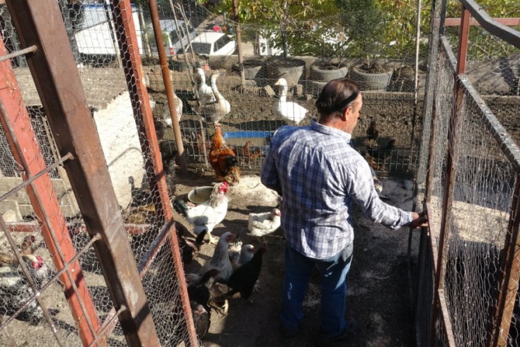 Hobisini &ccedil;atıya taşıdı