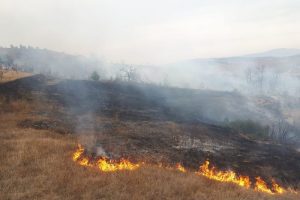 Bilecik'te 20 d&ouml;n&uuml;m makilik alan k&uuml;l oldu