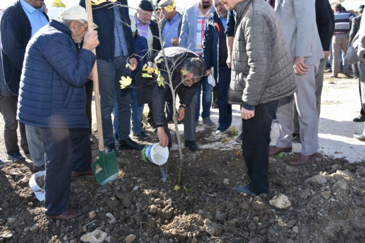 İn&ouml;n&uuml;'de Mehmet&ccedil;ik &Ccedil;eşmesi a&ccedil;ıldı