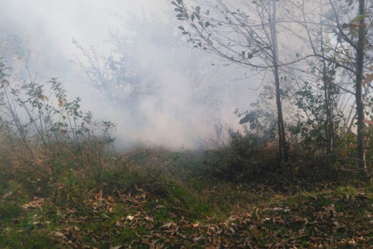 Ordu'da orman yangını kontrol altına alındı