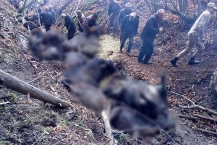Su bulmak i&ccedil;in kuruyan dereye atlayan mandalar &ouml;ld&uuml;