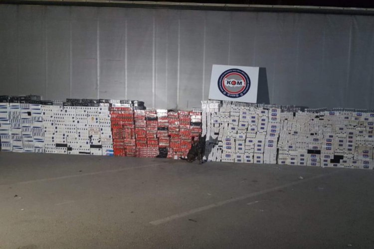 Ka&ccedil;ak sigarayı dedekt&ouml;r k&ouml;pek buldu