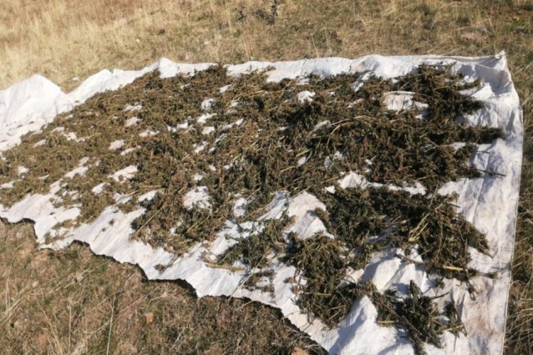 Sığınaklar bulundu, tonlarca uyuşturucu ele ge&ccedil;irildi