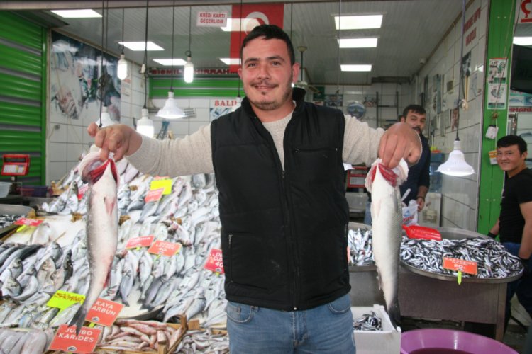 Hamsi 20, &ccedil;ipura 35 liradan alıcı buluyor