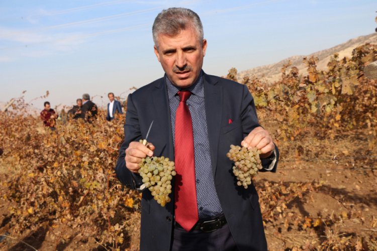 Belediye başkanı bağındaki &uuml;z&uuml;m&uuml; yoksullar i&ccedil;in topladı