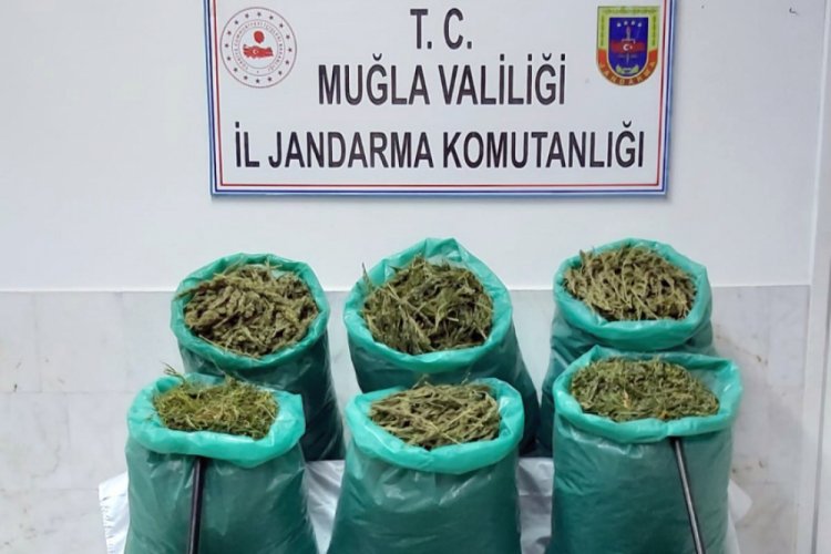 Jandarma 115 kilo esrar ele ge&ccedil;irdi