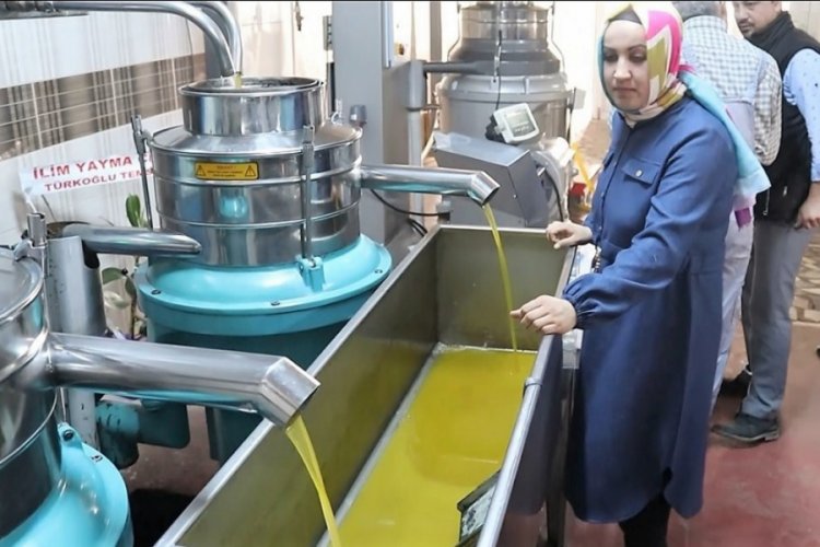Aile boyu zeytinyağı &uuml;retiyorlar