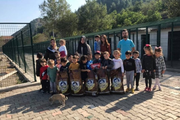 Anaokulu &ouml;ğrencileri k&ouml;pek barınağını ziyaret etti