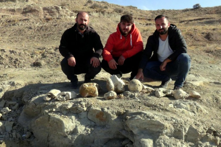 7,5 milyon yıllık yeni fosil bulundu