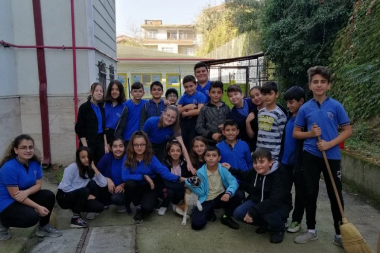 Karamel'in yeni yuvası okul oldu