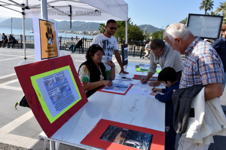 Marmaris'te 'yunus parkının kapatılması' i&ccedil;in imza kampanyası