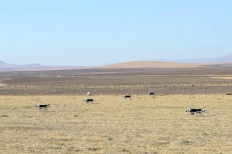 İHA'lar, GPS olmayan ortamda da g&ouml;rev yapacak