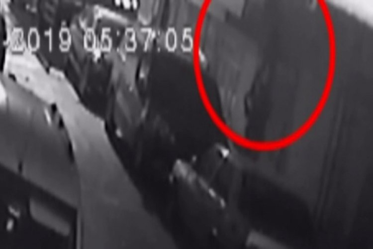 '&Ouml;r&uuml;mcek Adam' gibi duvara tırmanan hırsızlar kamerada
