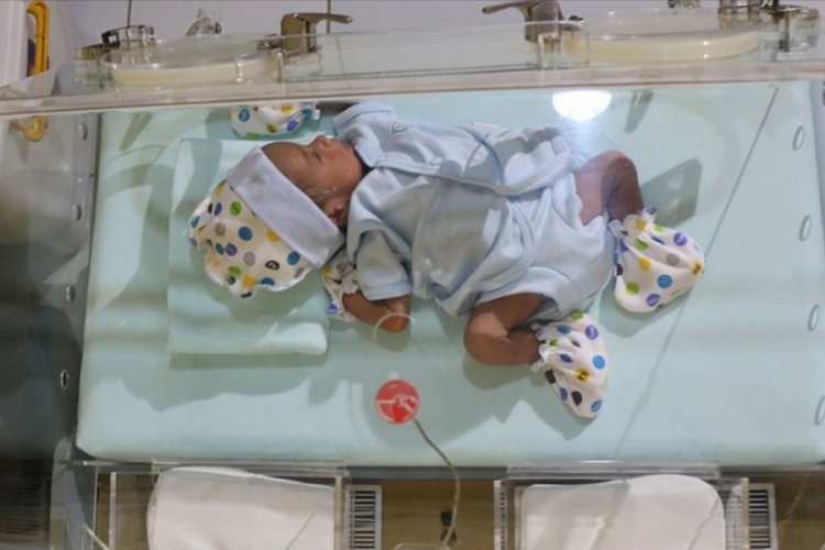 Her yıl 15 milyon bebek hayata erken başlıyor